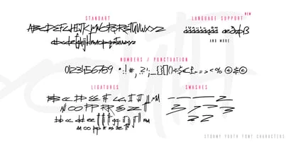Stormy Youth Font
