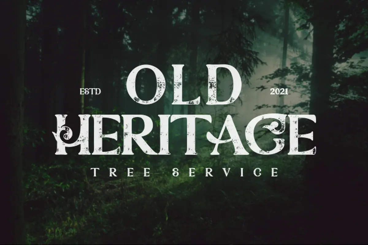 StunningOverturn Modern/Vintage Font Free Download Free Download