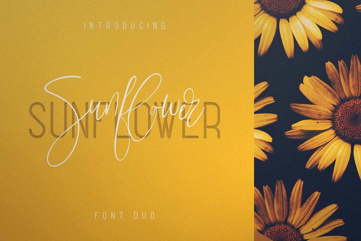 Sunflower - Font Duo Free Download Free Download