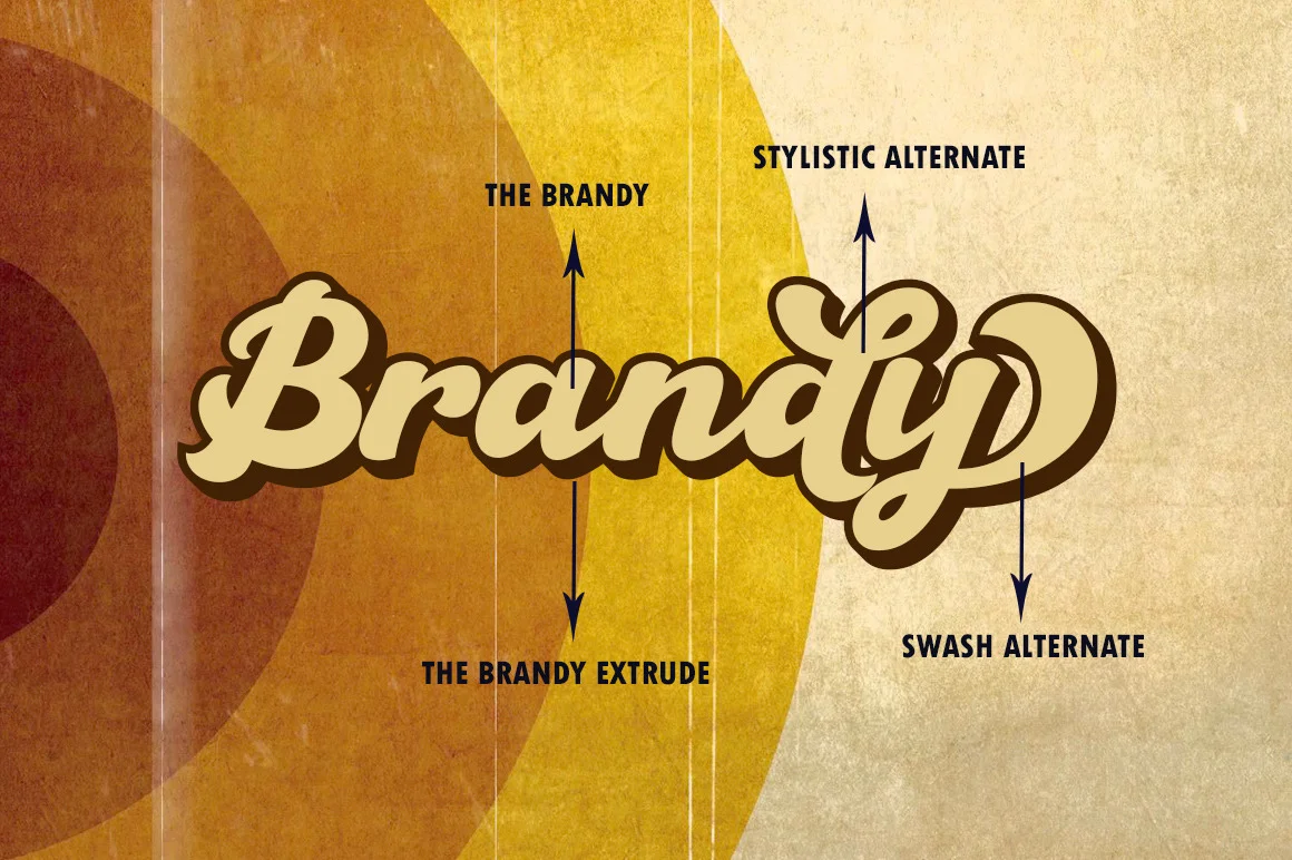 The Brandy Bold Retro Script Font