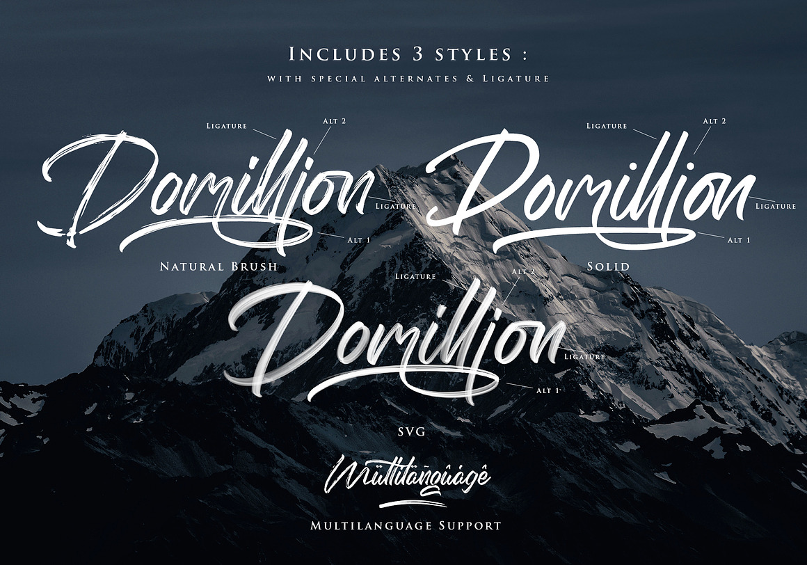 The Domillion Brush Font Free Download