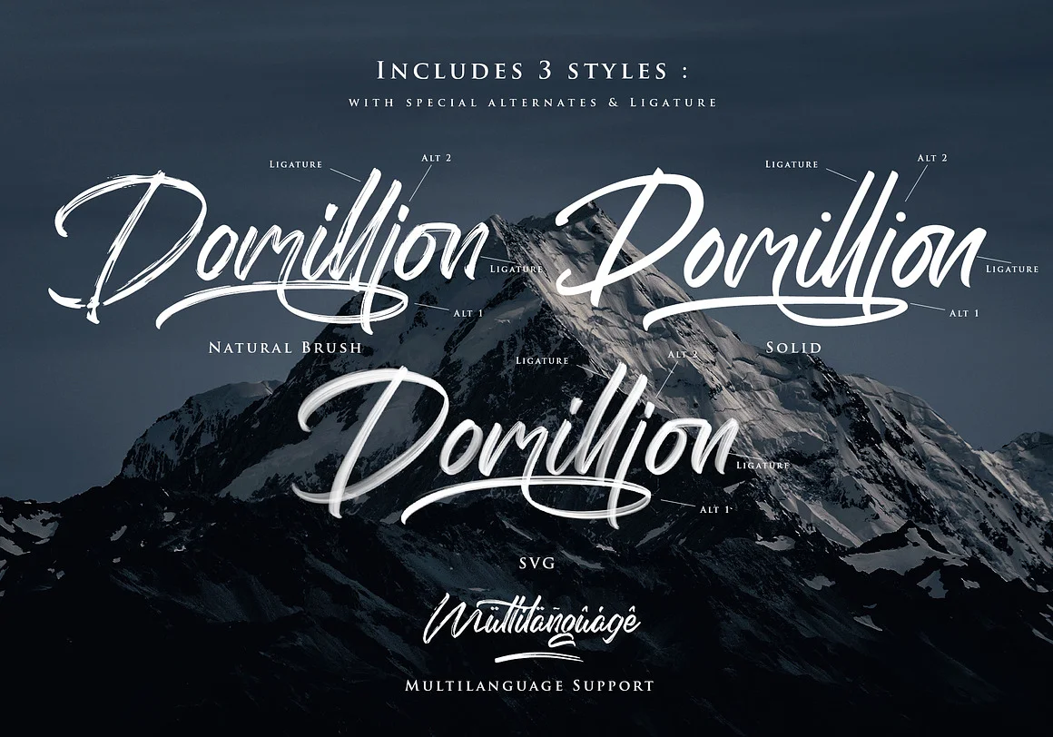 The Domillion Brush Font