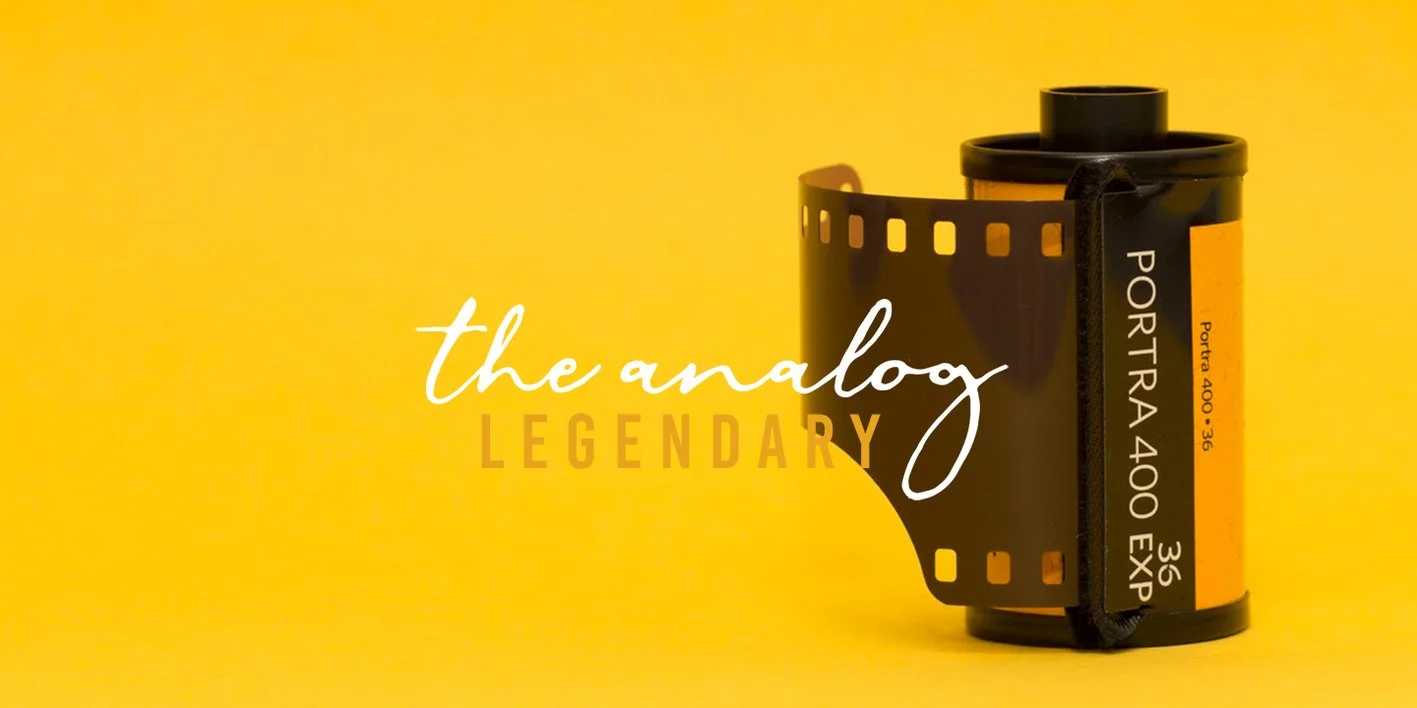 The Quiz Script Font