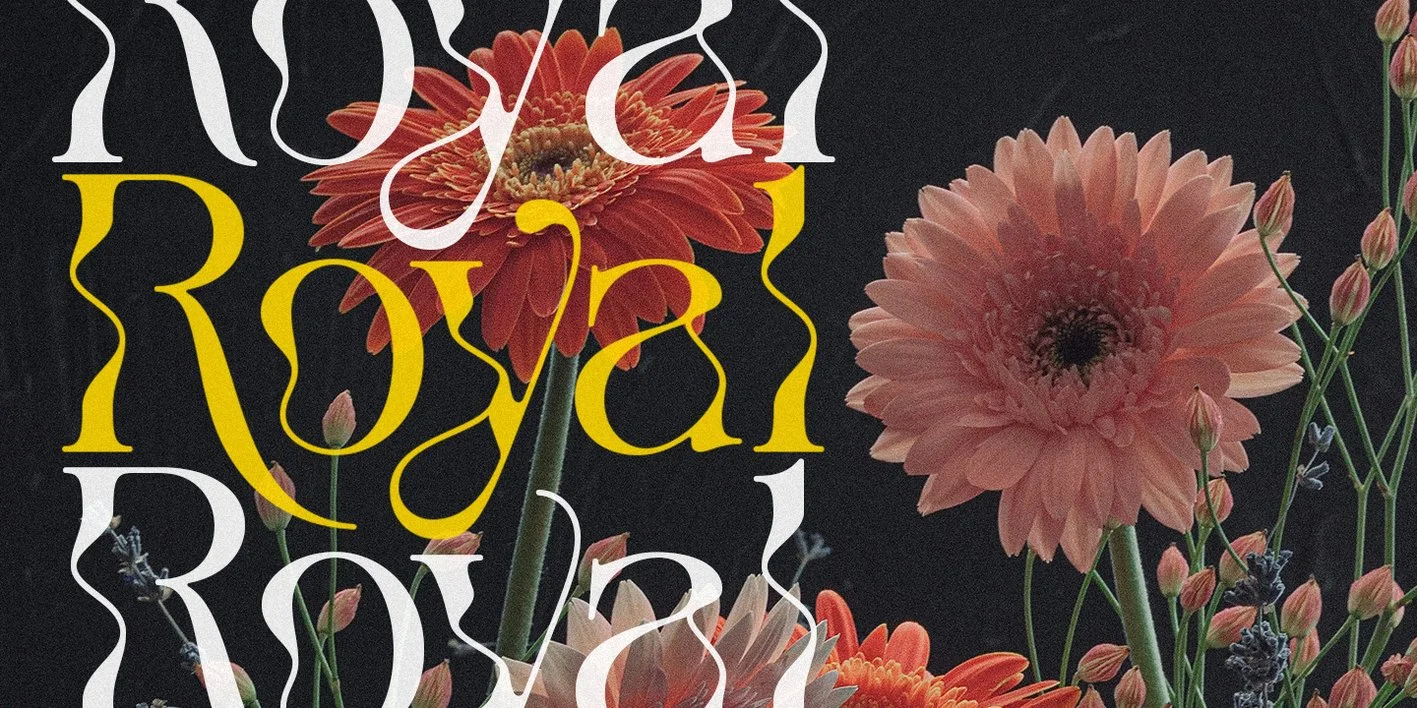 The Seiran Lapansa Font