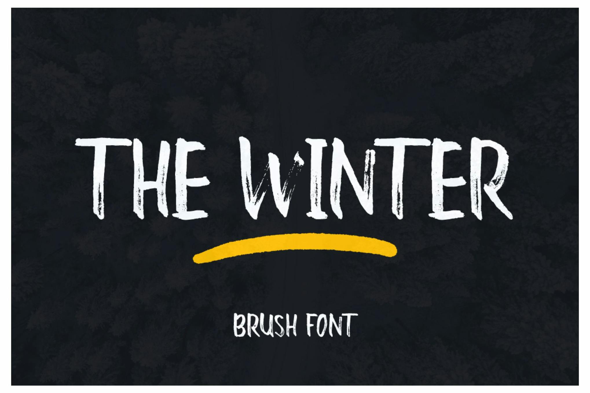 The Winter Brush Font Free Download