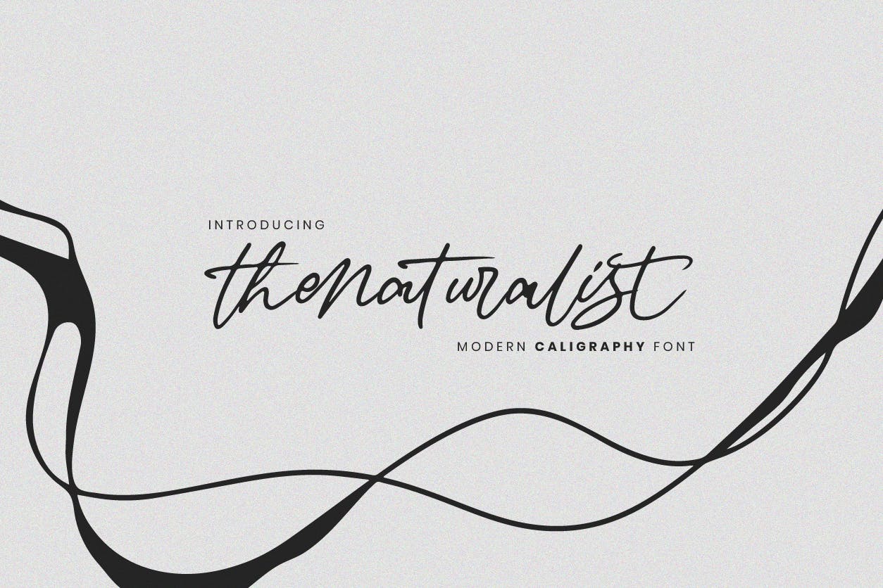 Thenaturalist Caligraphy Wedding Font Free Download