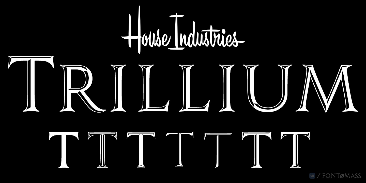 Trillium Font Free Download