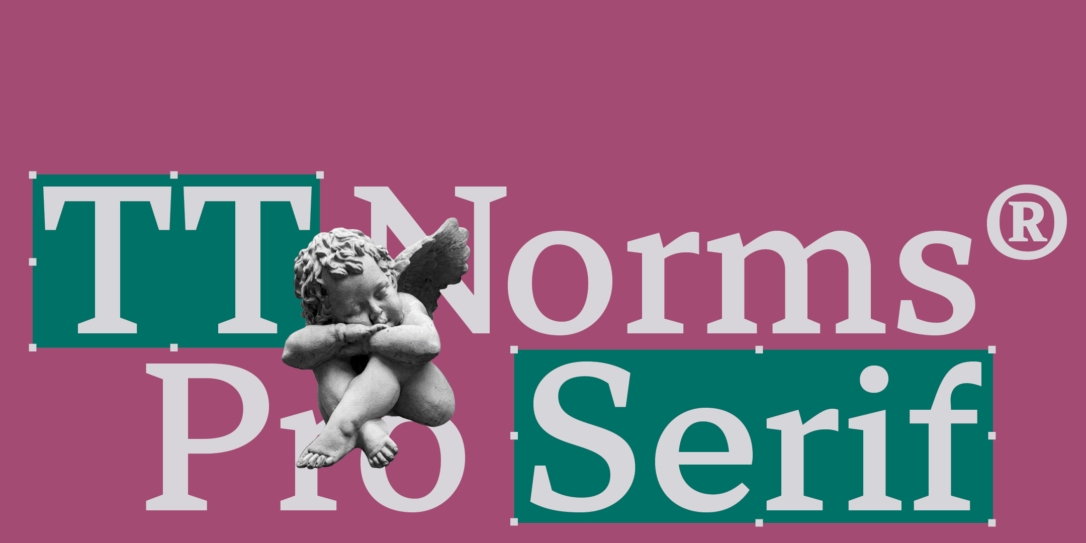 TT Norms Pro Serif Free Download Free Download