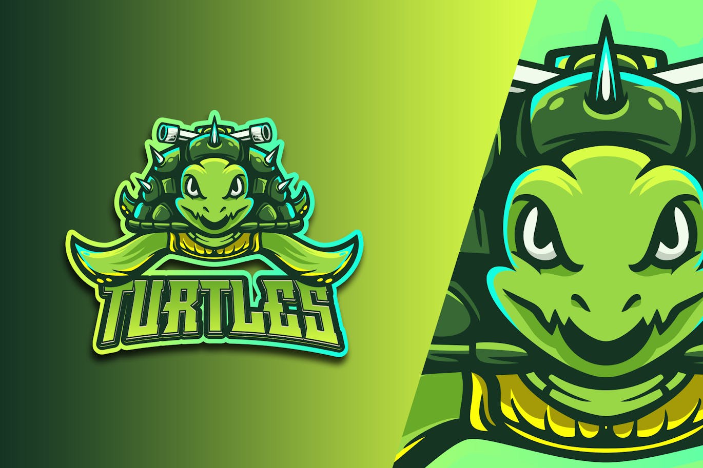 Turtles Esport Logo Vol. 1 Free Download