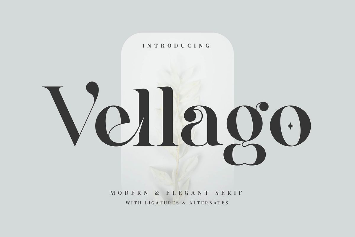 Vellago - Stylish Ligature Font Free Download Free Download