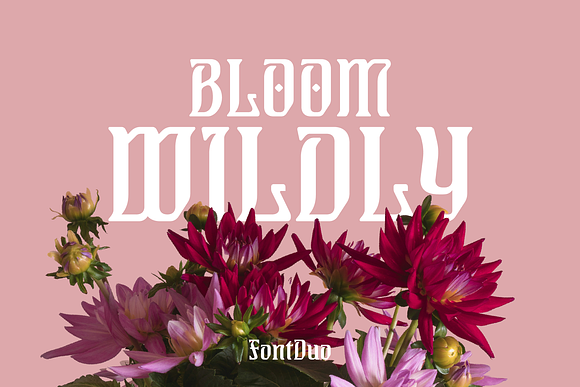 Vienna Bloom Art Nouveau Font Free Download