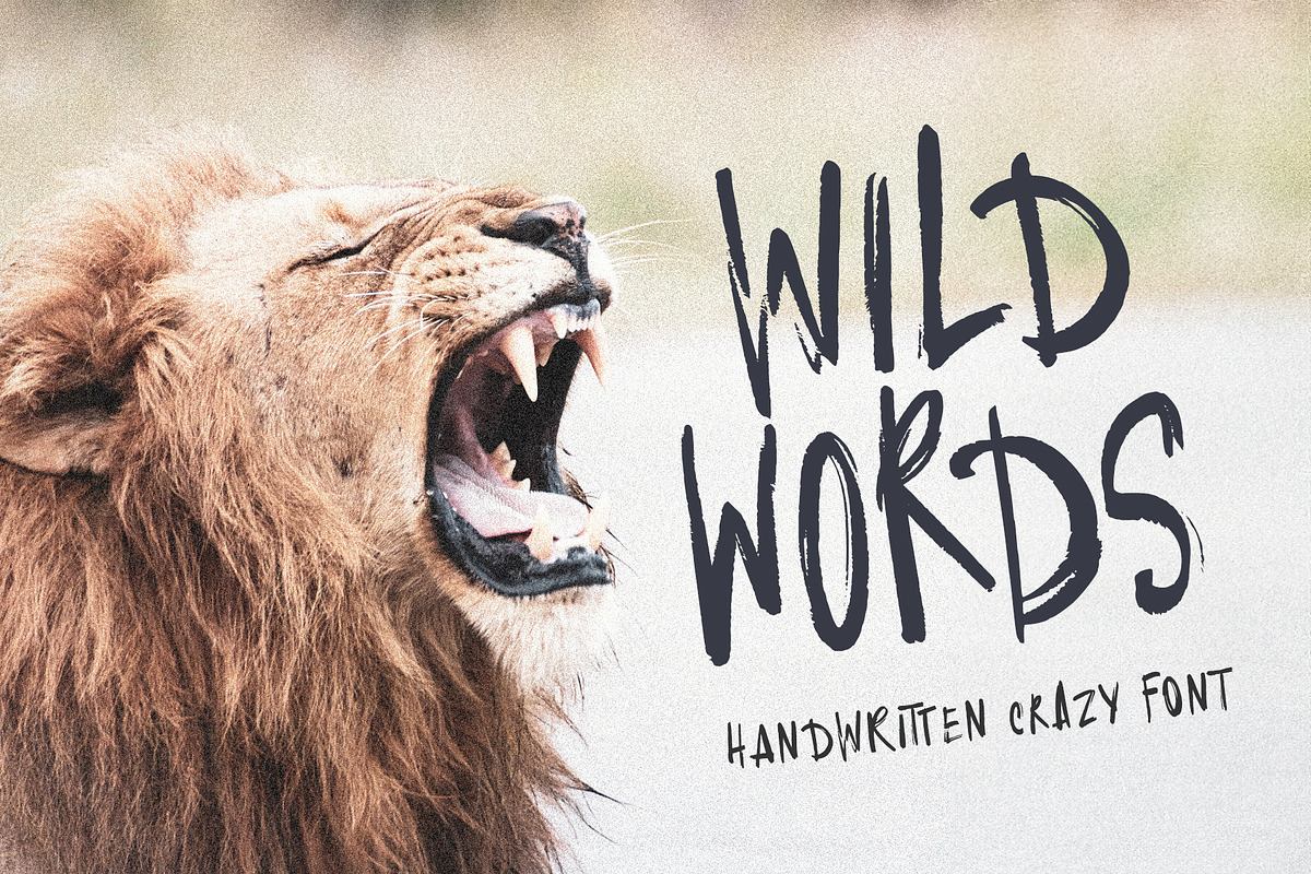 Wild Words handwritten textured font Free Download Free Download