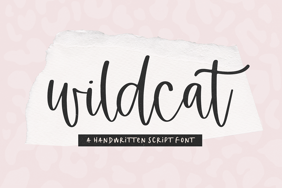 Wildcat | Handwritten Script Font Free Download Free Download