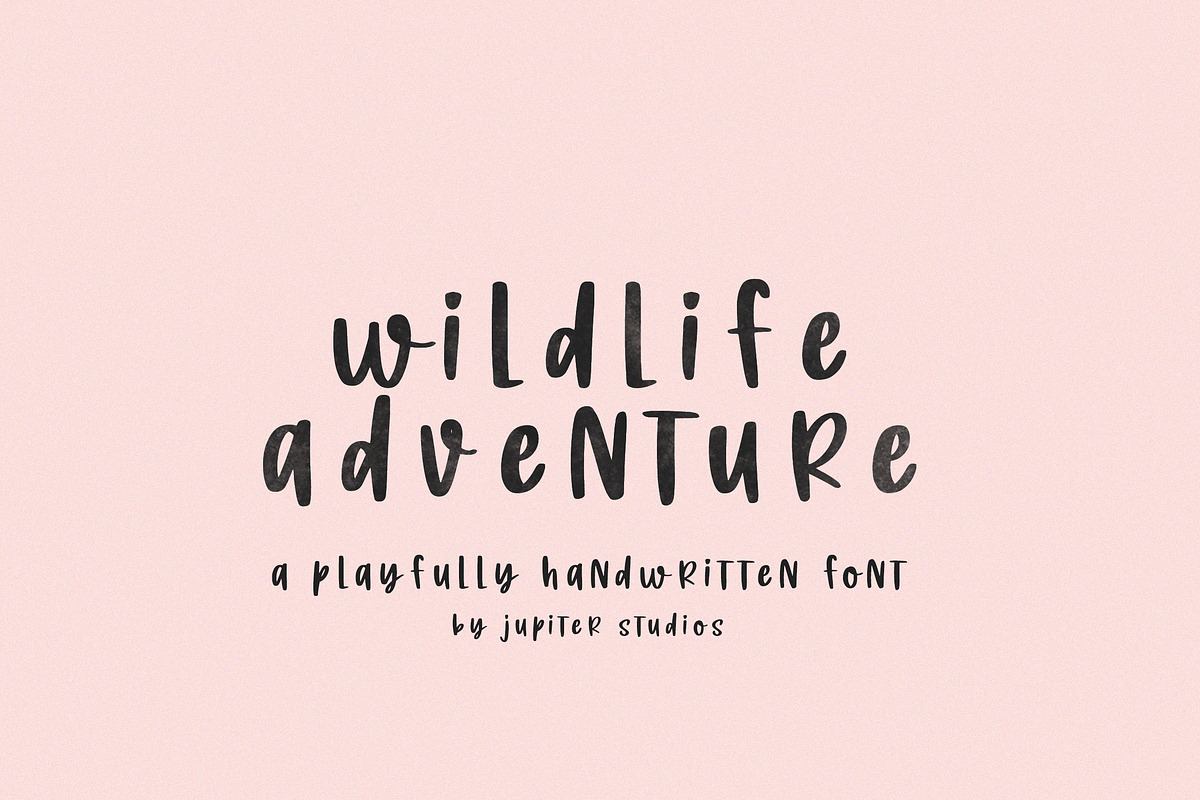 Wildlife Adventure Font Free Download Free Download