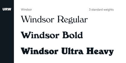 Windsor Font Free Download