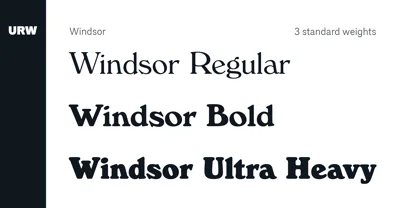Windsor Font