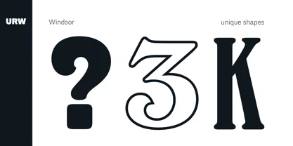 Windsor Font