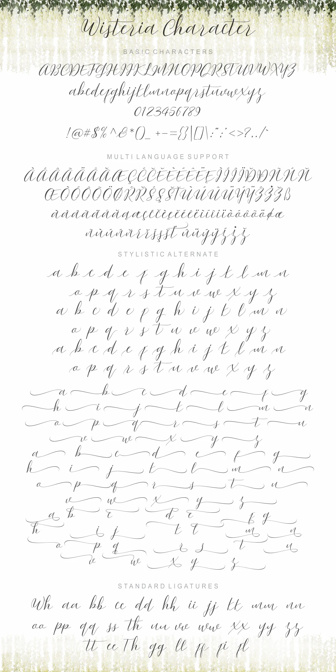 Wisteria Script Font