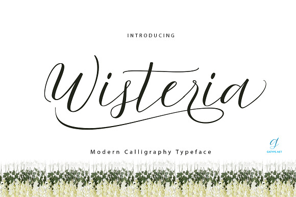 Wisteria Script Font Free Download