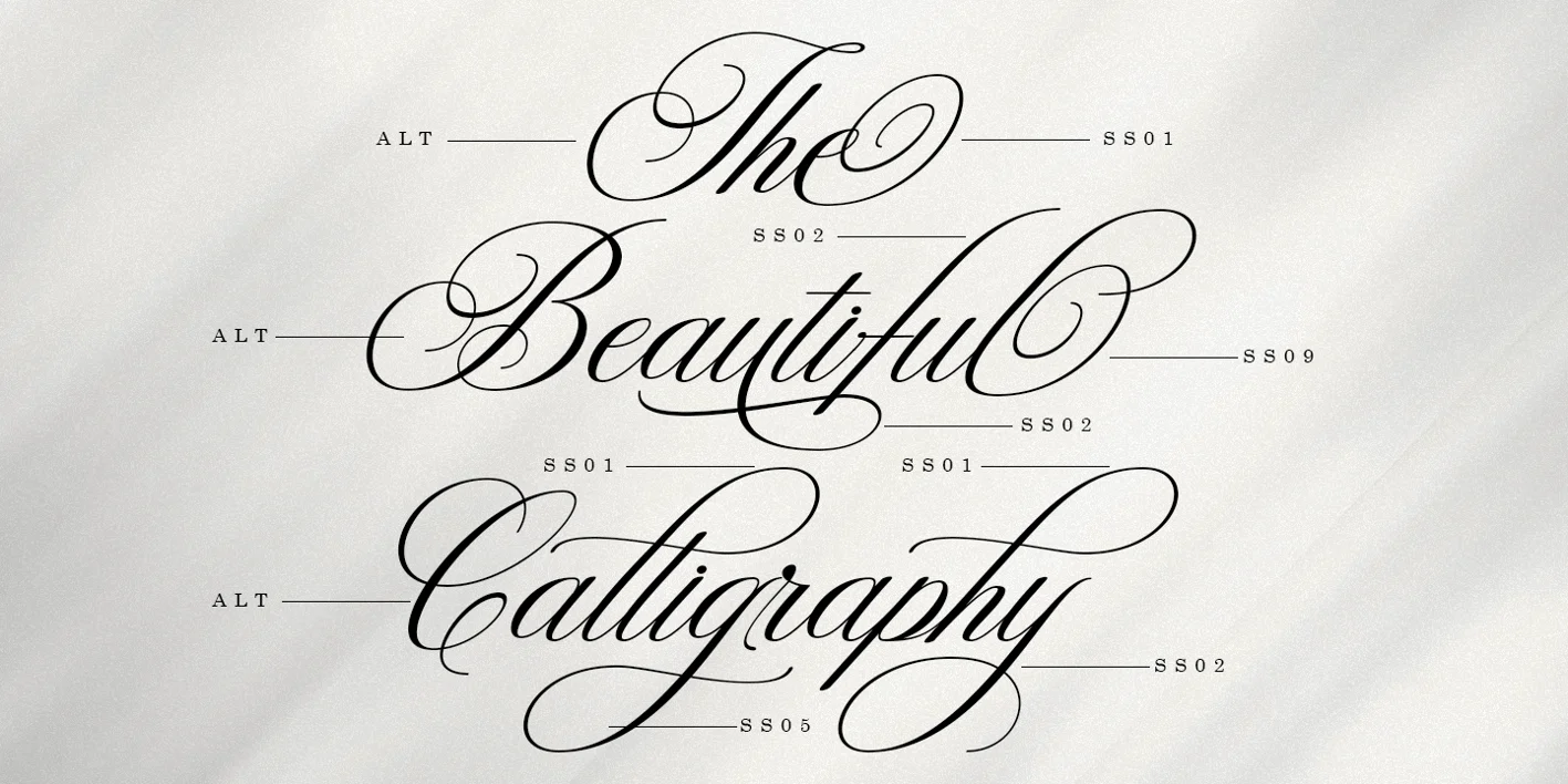 Wonderful Script Font