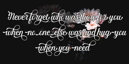 Wonderfully Script Font