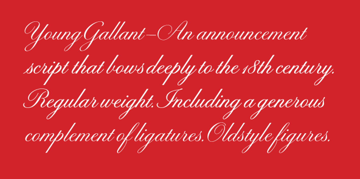 Young Gallant Font Free Download