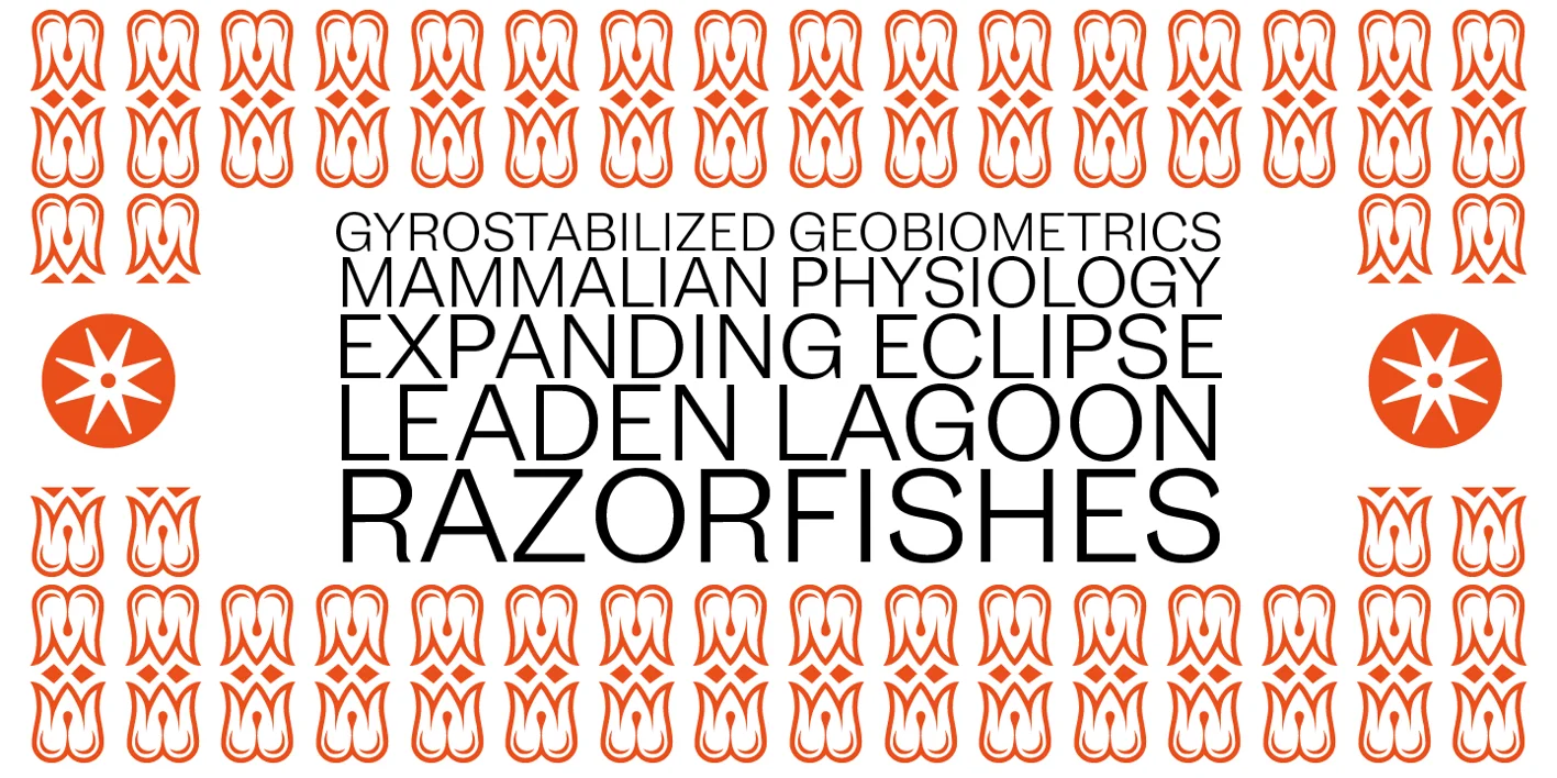 Zierde Grotesk Font