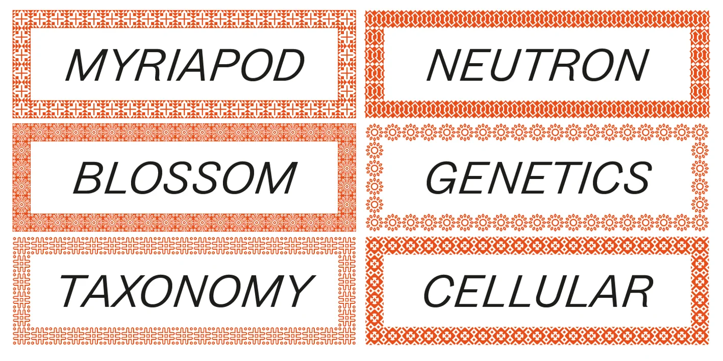 Zierde Grotesk Font
