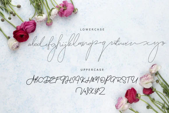 Zolland Font