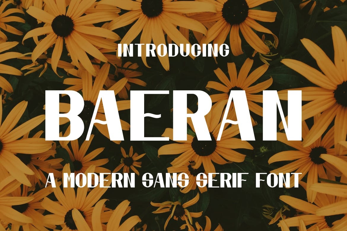 Baeran font