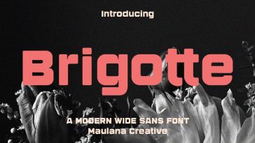 Brigotte font