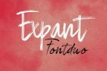 Expant font